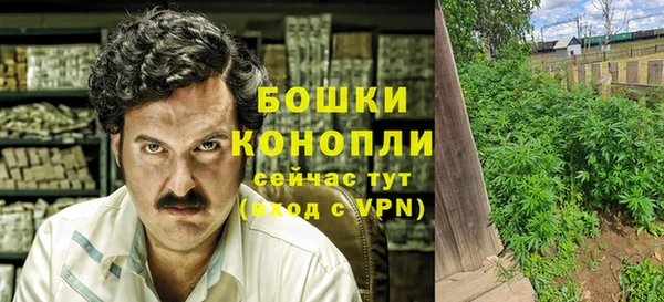 прущие крисы Белокуриха