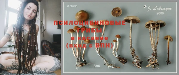 гидропоника Балабаново
