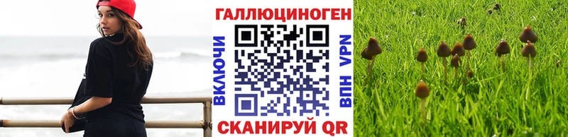 Галлюциногенные грибы MAGIC MUSHROOMS  Кодинск 